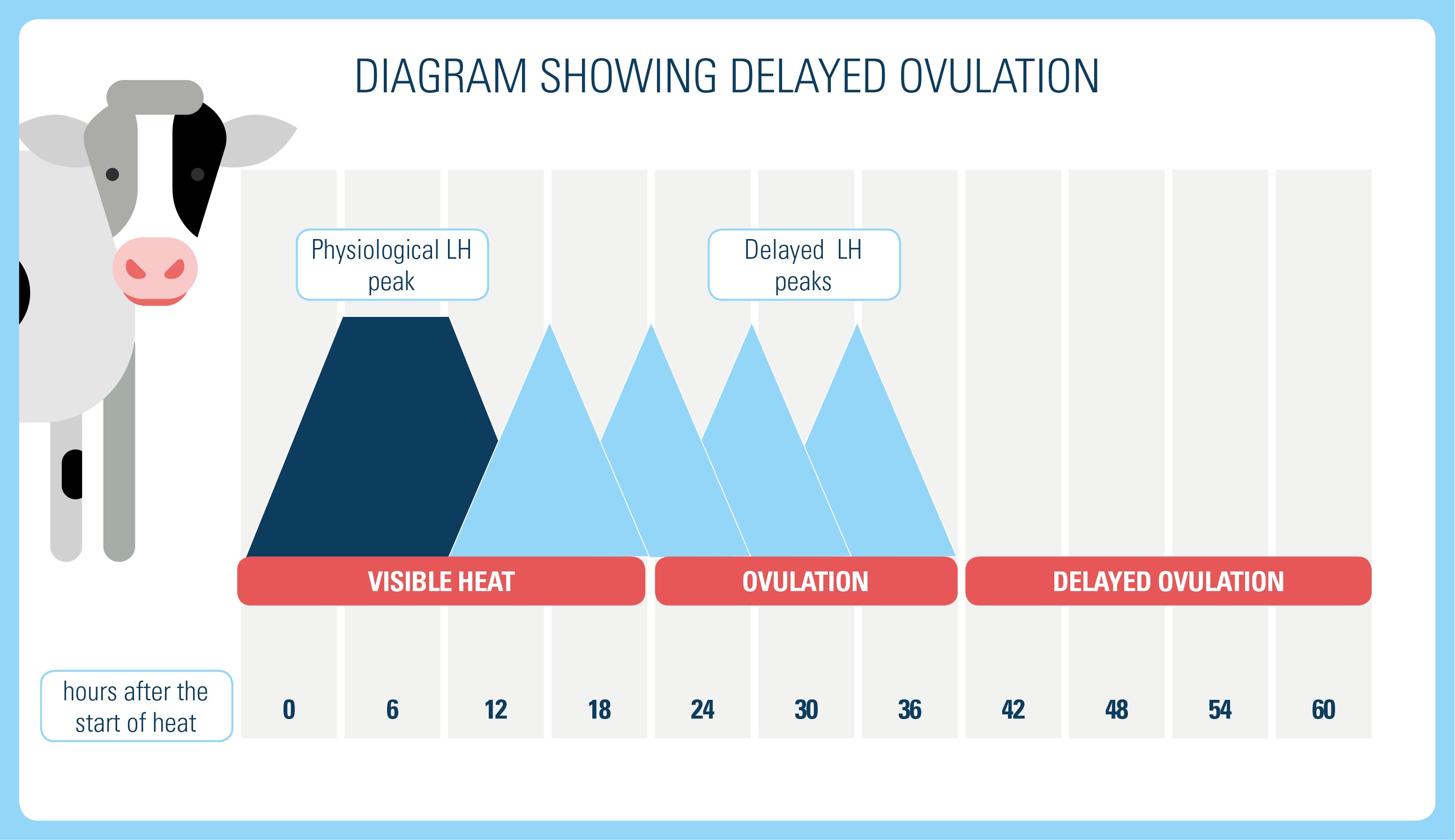 5-questions-to-ask-before-choosing-between-delayed-and-immediate-dental