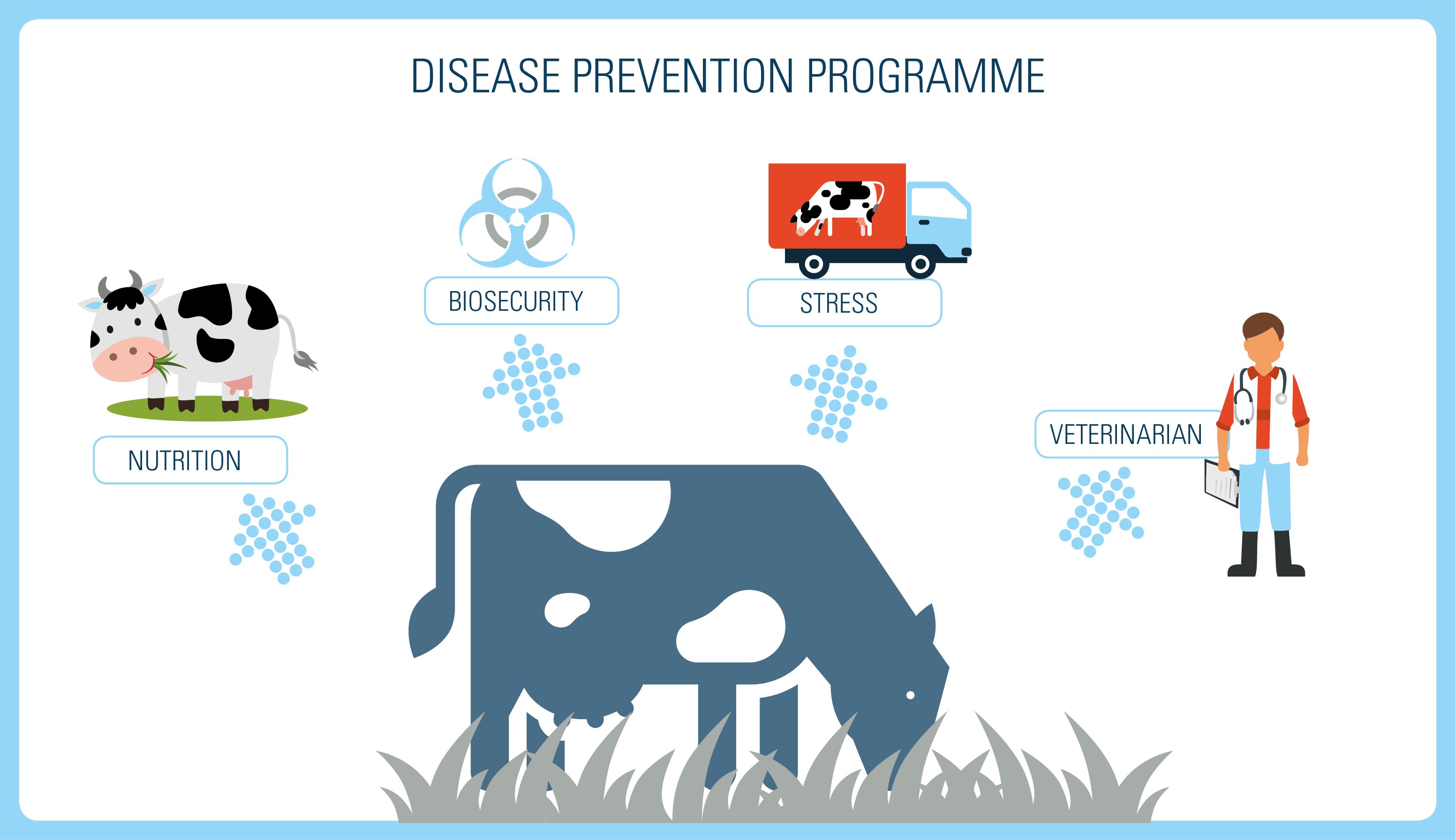 Dairy Cattle Diseases