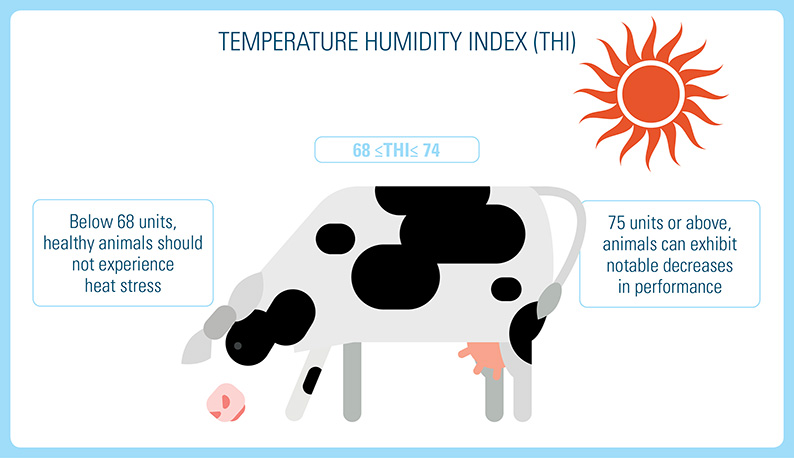 Heat Stress in Dairy Cows